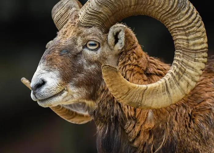 Inn Pod Grebenom Podcetrtek